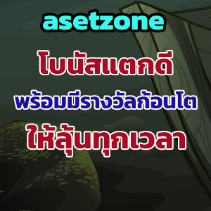 asetzone
