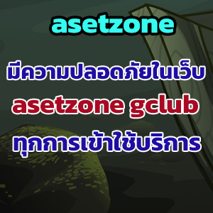 asetzoneweb