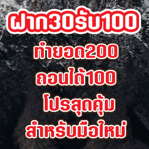 ฝาก30รับ100web