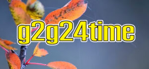 g2g24time