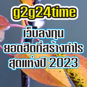 g2g24time