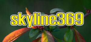 skyline369