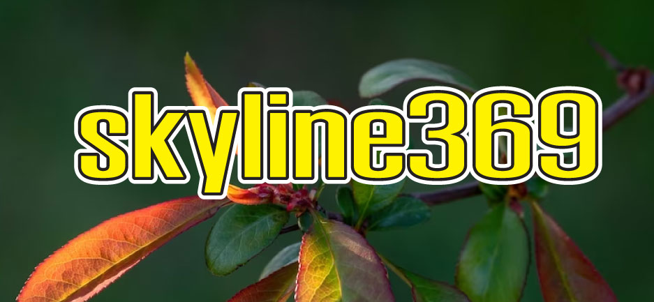 skyline369