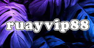ruayvip88